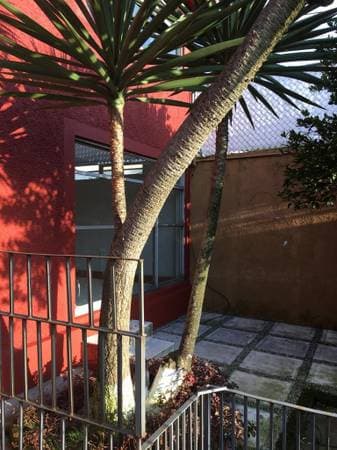 Beautiful house with garden and spectacular views - Image 5