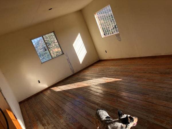 For Sale 3.1 Ha Ranch El Encino, Tijuana - Image 3