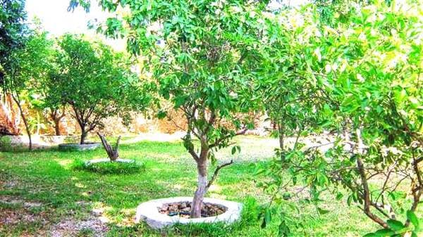 EN MERIDA YUCATAN Casa en venta en Cholul - Image 3