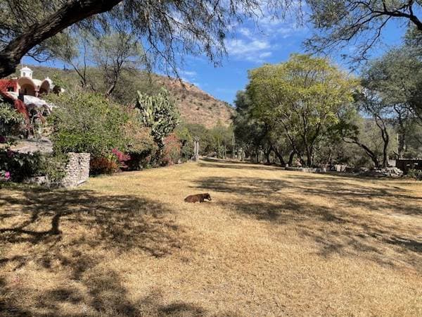 San MiguelRanch for rent - Image 2