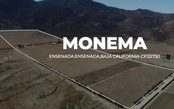 For Sale: Beautiful Land in Valle de Guadalupe - Image 4