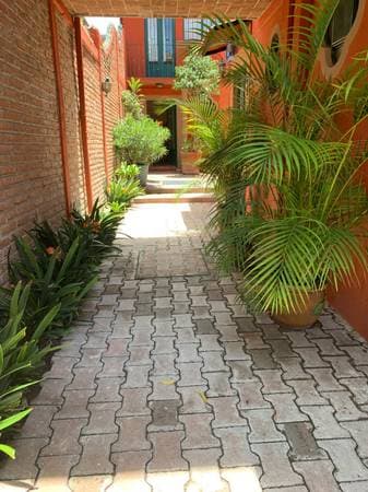 Departamento - Image 2