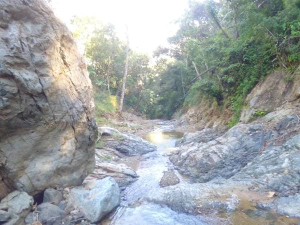 10 hectáreas en pluma hidalgo - Image 3