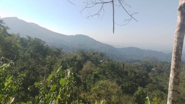 10 hectáreas en pluma hidalgo - Image 4