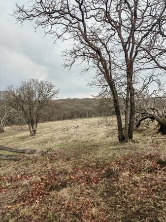 Terreno de 2.15 hectáreas en Sierra de Lobos – Ideal para cabaña