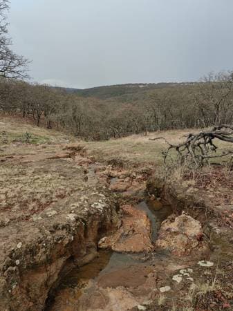 Terreno de 2.15 hectáreas en Sierra de Lobos – Ideal para cabaña - Image 2