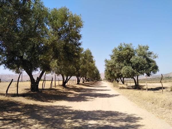 Large 1000m2 Lots 20min from Valle de Guadalupe