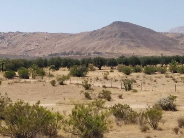 Large 1000m2 Lots 20min from Valle de Guadalupe - Image 2