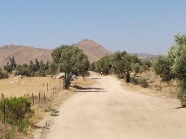 Large 1000m2 Lots 20min from Valle de Guadalupe - Image 4