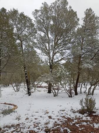 Large Rural Lots of 1000m2 - Image 2