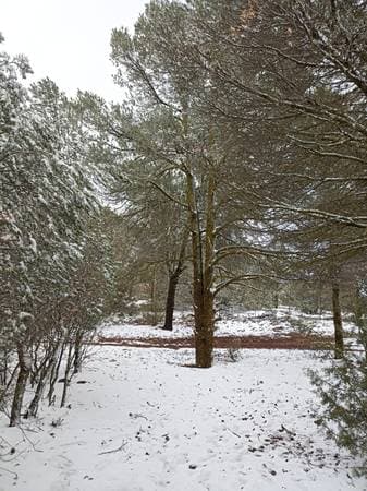 Large Rural Lots of 1000m2 - Image 3