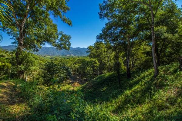 Lote El Tuito - Tierra Alta