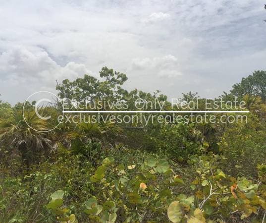 No.5317 FR3SH MEX PESOS 7 LANDS FOR SALE CLOSE TO THE BEACH NICE AREA