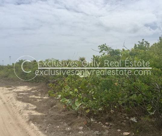 No.5317 FR3SH MEX PESOS 7 LANDS FOR SALE CLOSE TO THE BEACH NICE AREA - Image 3