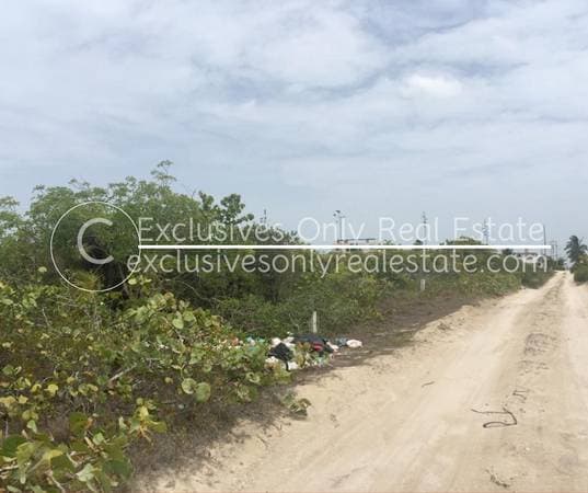 No.5317 FR3SH MEX PESOS 7 LANDS FOR SALE CLOSE TO THE BEACH NICE AREA - Image 4