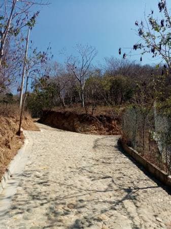 Ocean view land 5000 m2 - Image 5