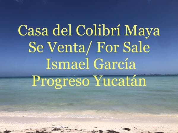 Fantastic Investment Opportunity 1.5 blocks to Progreso Beach - Image 2