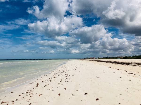 Fantastic Investment Opportunity 1.5 blocks to Progreso Beach - Image 5