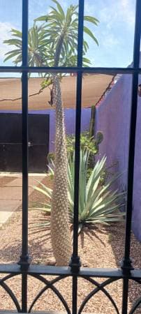 Unfurnished 2-Story House for Rent - Image 4