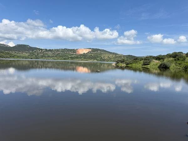 San Felipe - 150 Hectares of Productive Pasture and Seasonal Land