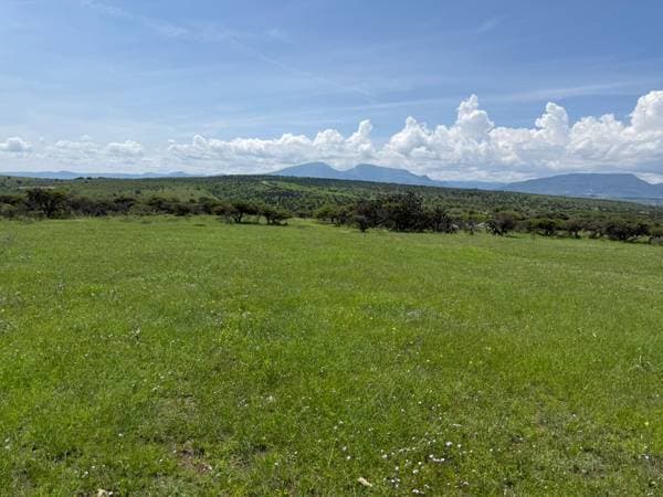 San Felipe - 150 Hectares of Productive Pasture and Seasonal Land - Image 2