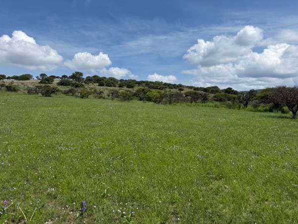 San Felipe - 150 Hectares of Productive Pasture and Seasonal Land - Image 3