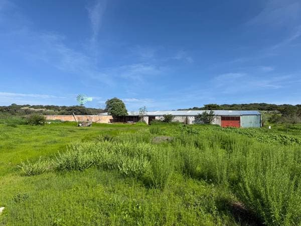 San Felipe - 150 Hectares of Productive Pasture and Seasonal Land - Image 4