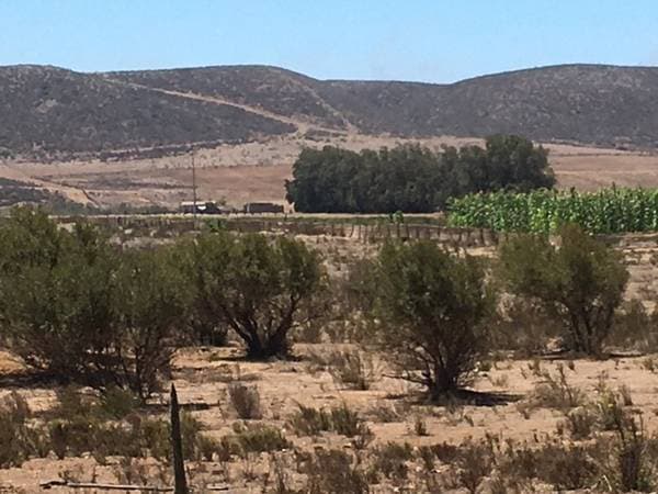 Ranch For Sale - Image 3