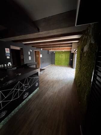 Commercial Space For Rent In Roma Sur