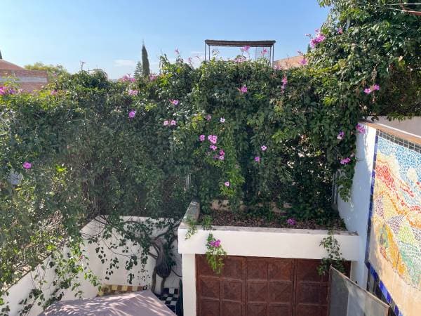 Apartment for rent - Image 4