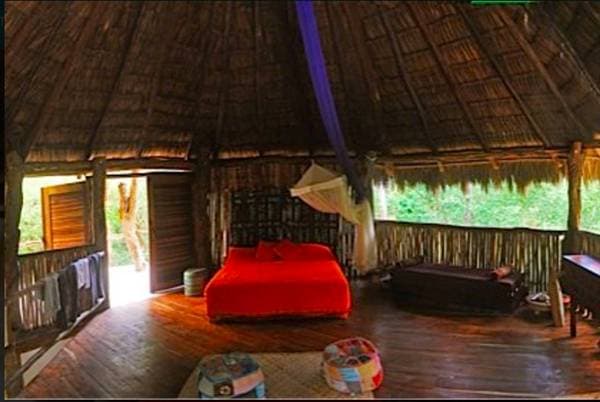 Gorgeous off the grid jungle eco home
