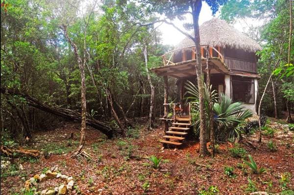 Gorgeous off the grid jungle eco home - Image 5