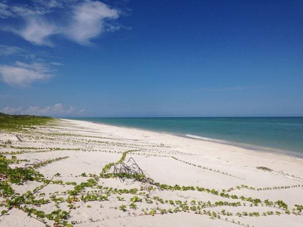 Authorized Eco-Hotel Project 190m Beachfront Lot For Sale | Playa - Image 4