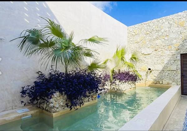 Property with Two Independent Homes | Centro Mérida - Image 2