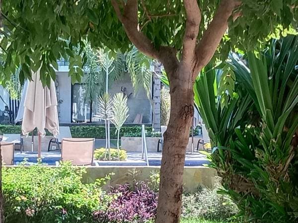 Unfurnished Ground Level 2 Bed 2 Bath Gated Community - Image 3