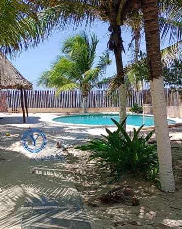 Oceanfront Pool Home For Sale in Santa Clara - Image 3