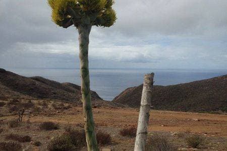 LAND!! Private property for sale Coast and Hills "Los Potreros" E - Image 5