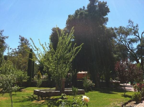 📍Venta Terreno Rancho Santa Veronica,Tecate - Image 5