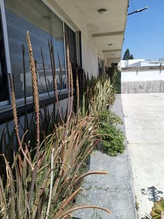 Last Studio Apartment - Image 3