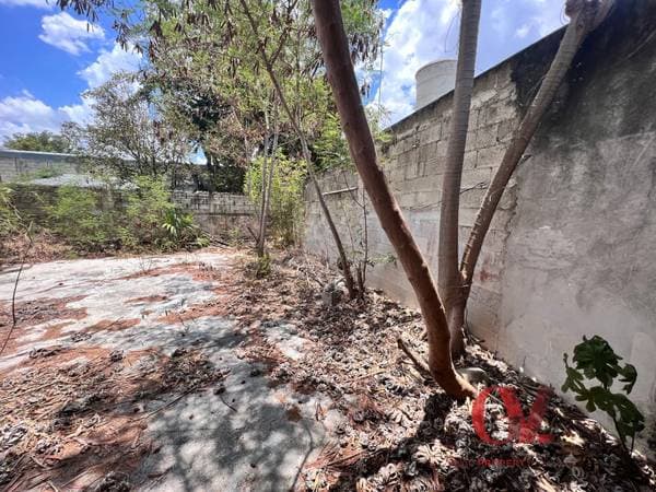 Casa Colonial De Una Planta En El Centro Para Renovar $ Pesos - Image 4