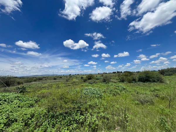 Barato Rancho Agricola 54 Hect Con Pozo, Concesion, En Dol. Hgo - Image 5