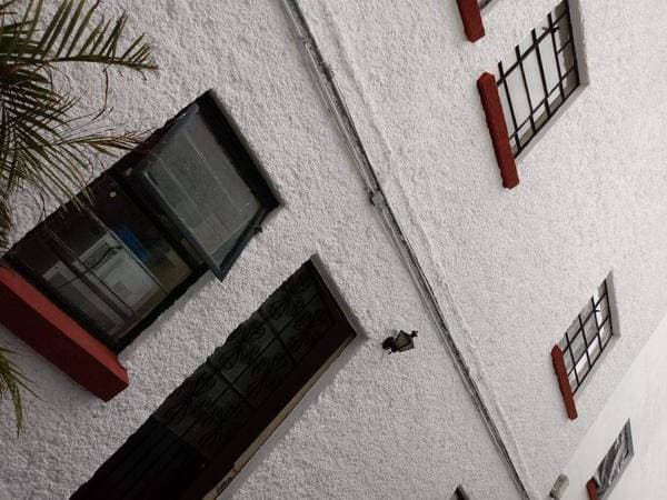 Rento Recamaras En Depto. Compartido Corredor Reforma