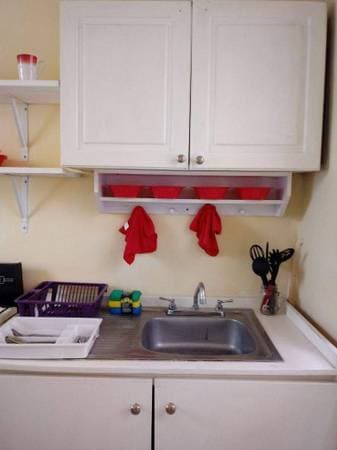 Rento Recamaras En Depto. Compartido Corredor Reforma - Image 5