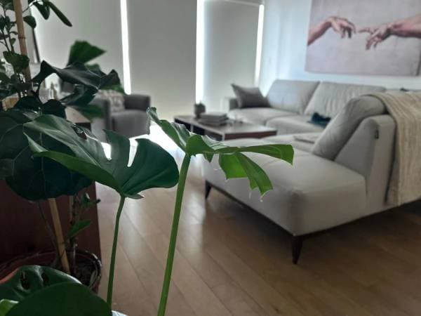 City Tower Grand Rental Apartment With Balcony Furnished - Image 4