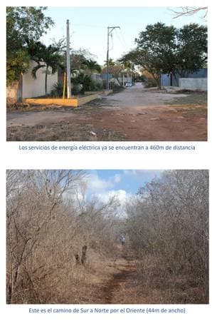 Lot in Chichi Suarez - Image 4