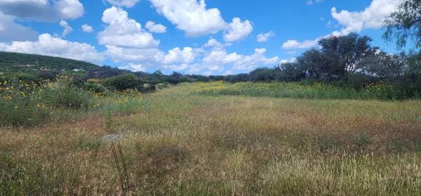Vendo Terreno Macrolote En Comunidad Cañada Flores Carr Rodriguez