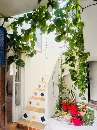 Artsy House in Quiet Compound surrounded by trees 🌳 - Image 5