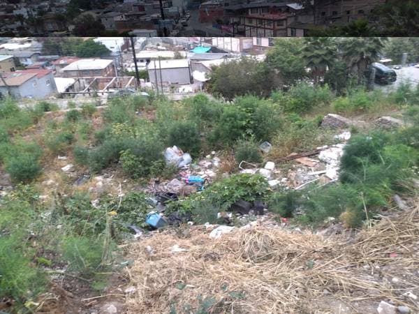 Vendo Tres Terrenos Juntos En Col.hidalgo - Image 2