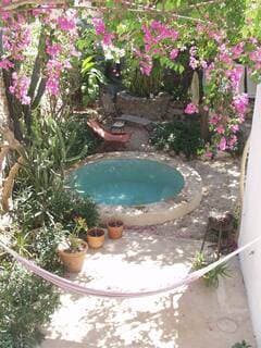 $650 month Merida Centro - Image 5