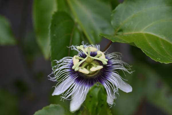 Welcome to the Jungle - Image 2